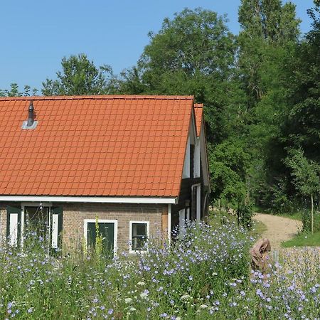 Het Kunstenaarshuis Vila Kamperland Exterior foto