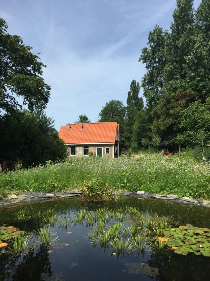 Het Kunstenaarshuis Vila Kamperland Exterior foto