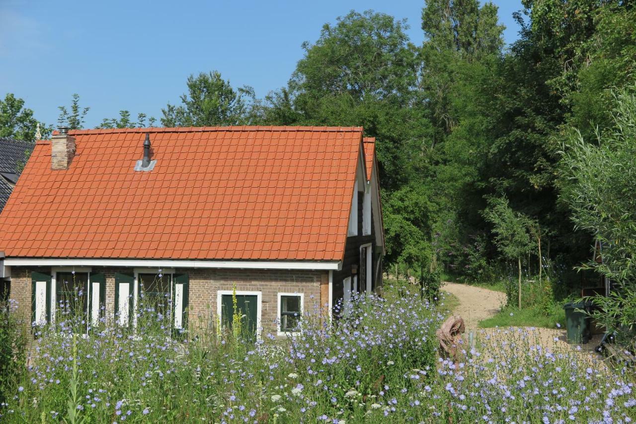 Het Kunstenaarshuis Vila Kamperland Exterior foto