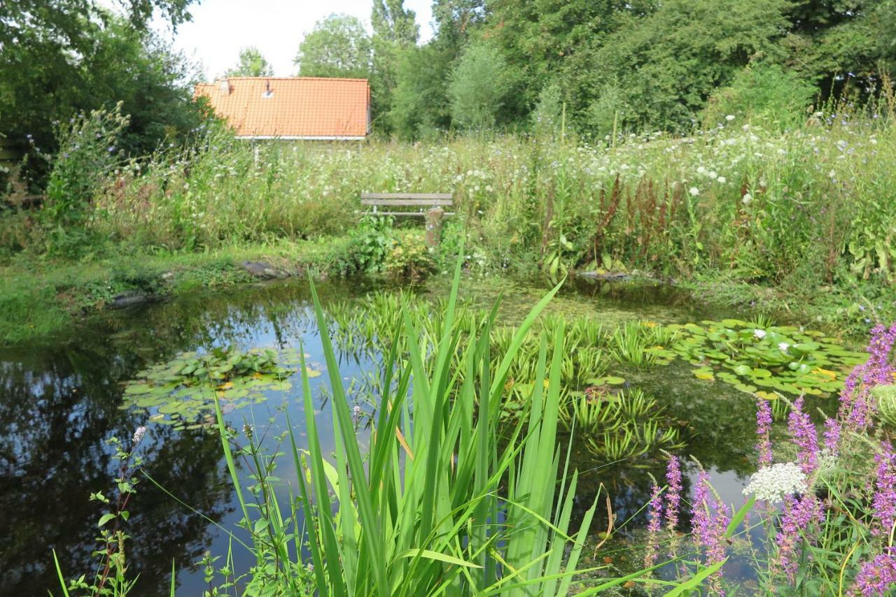 Het Kunstenaarshuis Vila Kamperland Exterior foto